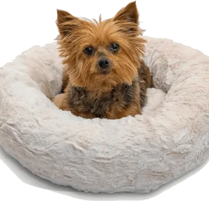 donut cats and dog bed